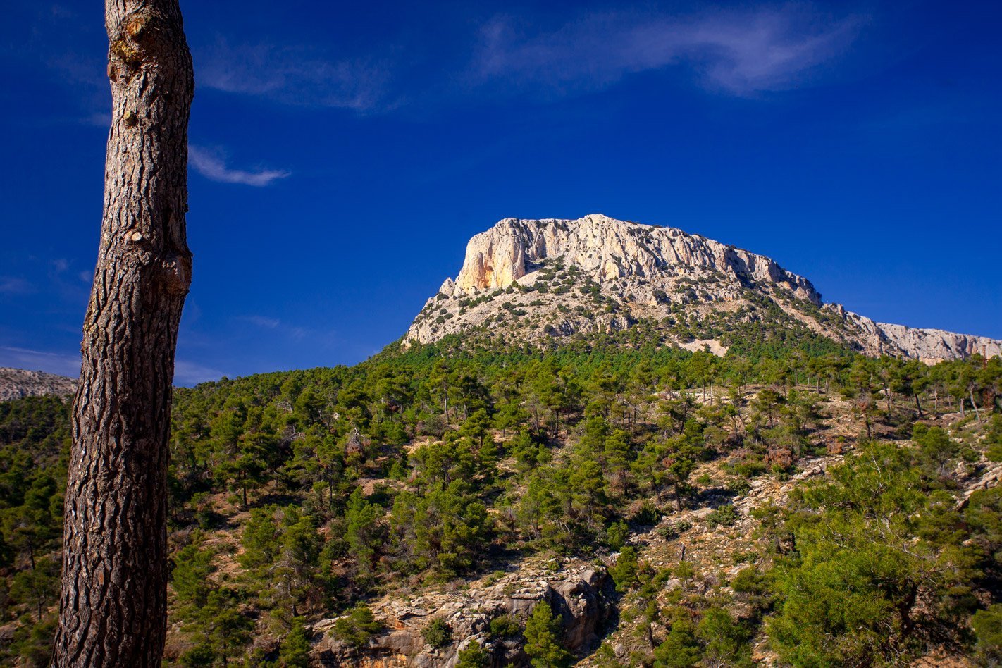 Sierra Espuña junto a Totana